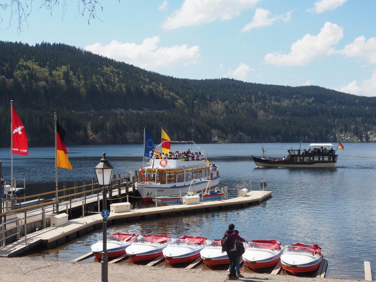 C3 Albmatte-fewo Sauna, Hallenbad Aussenbecken Massagen Nebenan Apartment St. Blasien