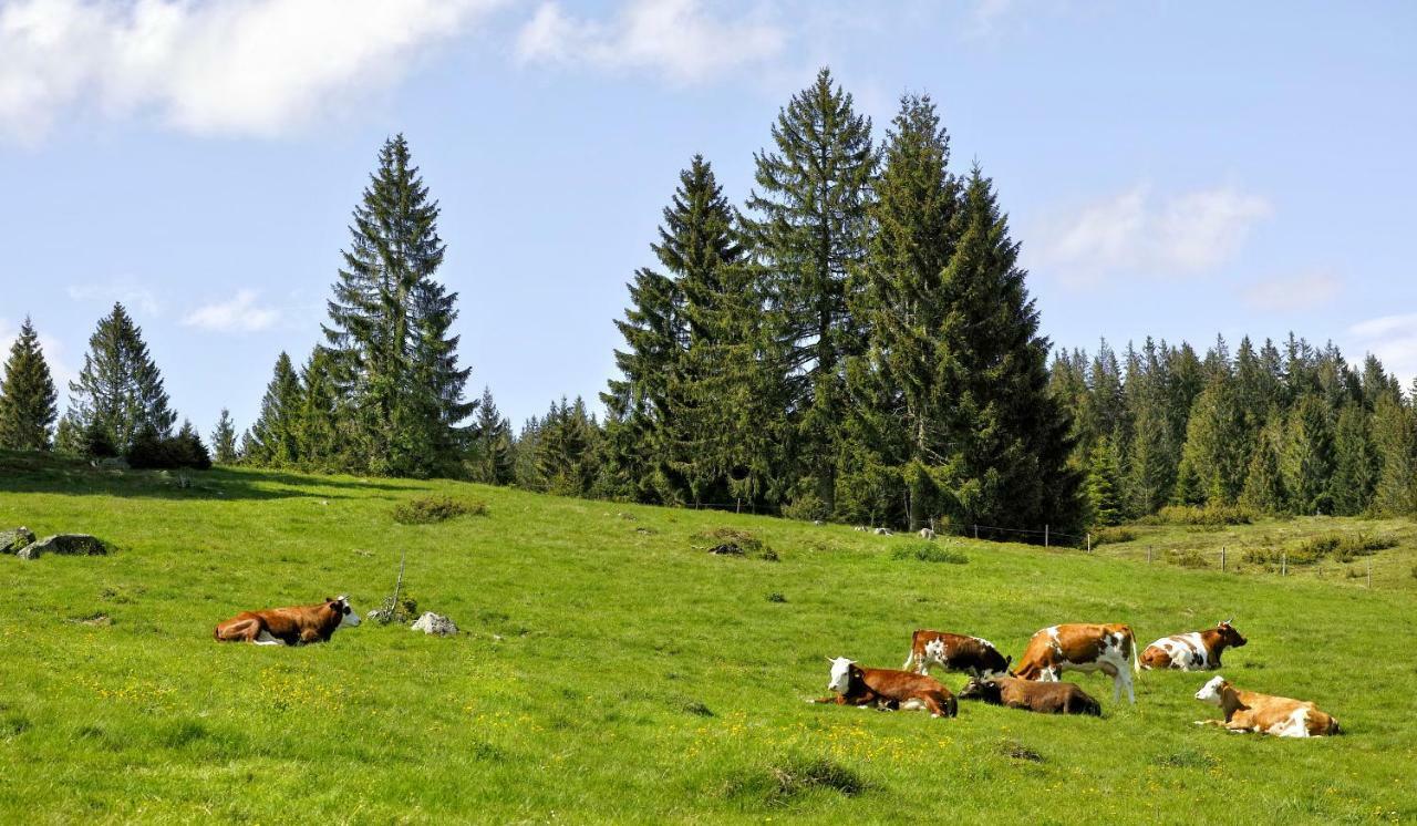 C3 Albmatte-fewo Sauna, Hallenbad Aussenbecken Massagen Nebenan