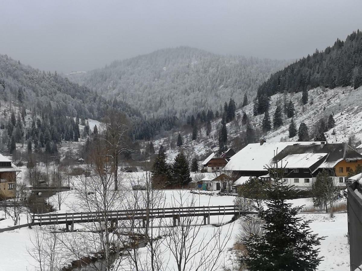 Apartment C3 Albmatte-fewo Sauna, Hallenbad Aussenbecken Massagen Nebenan *