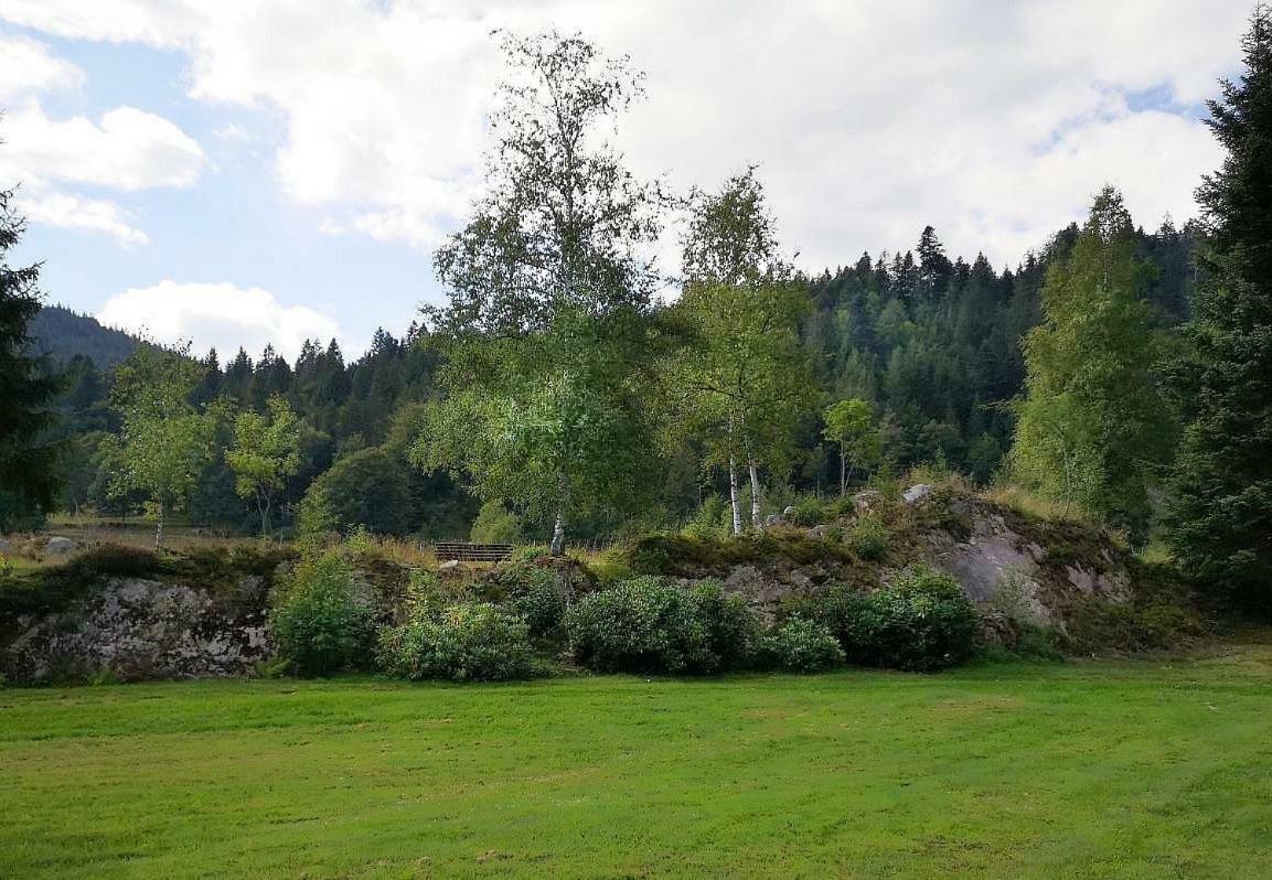 C3 Albmatte-fewo Sauna, Hallenbad Aussenbecken Massagen Nebenan