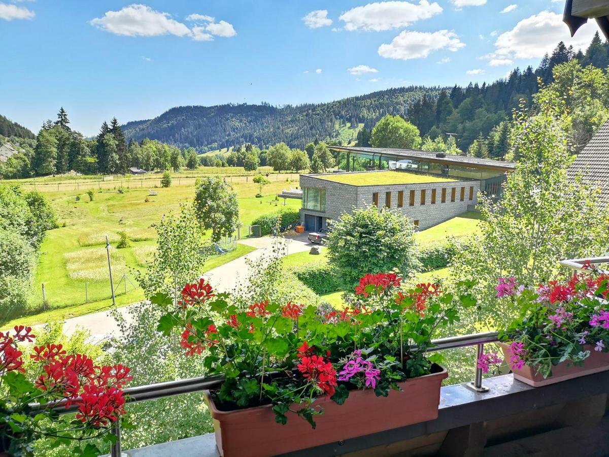 C3 Albmatte-fewo Sauna, Hallenbad Aussenbecken Massagen Nebenan Apartment