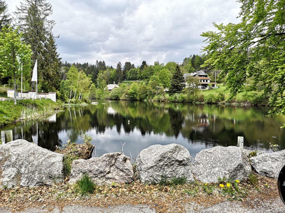 C3 Albmatte-fewo Sauna, Hallenbad Aussenbecken Massagen Nebenan Apartment St. Blasien